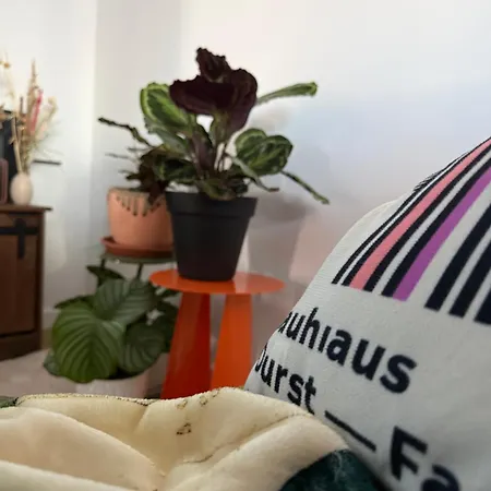 شقة Zywieckie - Bauhaus, Balia W Cenie! Zwierzeta Za Darmo! Żywiec